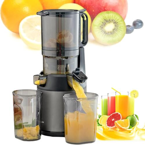 Juicer Machines,Professional Cold Press Masticating Juicer with 13cm Wide Feeding Chute - Portable Slow Juicer for Fruits and Vegetables, 300W Power (Grey