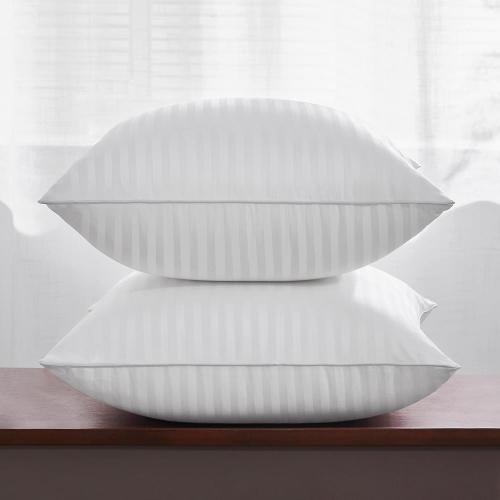 Throw Pillow Inserts Set of 2